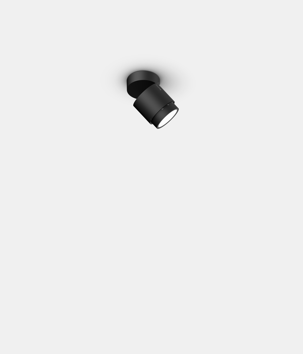 lui volto rendering 02